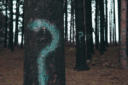 Question Marks on Trees