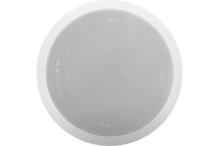 Viking 40TB-IP Speaker