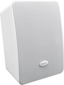 CyberData Wall Speaker